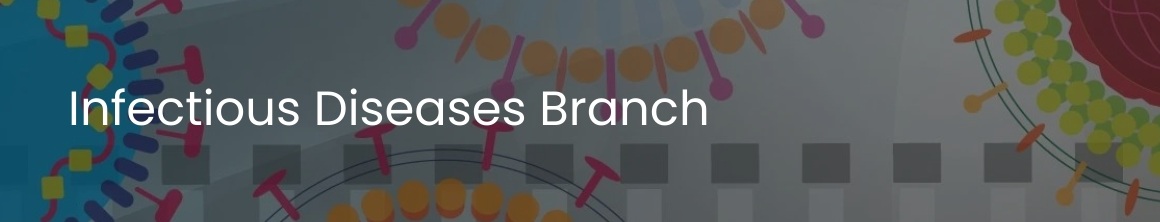 ID Branch Home