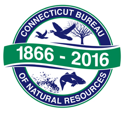 150th anniversary logo
